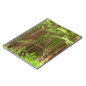 Redwood Trees at Muir Woods National Monument Notizblock (Linke Seite)