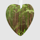 Redwood Trees at Muir Woods National Monument Ornament (Vorderseite)