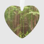 Redwood Trees at Muir Woods National Monument Ornament (Rückseite)