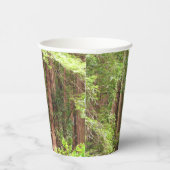 Redwood Trees at Muir Woods National Monument Pappbecher (Rechts)