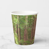 Redwood Trees at Muir Woods National Monument Pappbecher (Vorderseite)