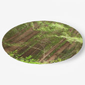 Redwood Trees at Muir Woods National Monument Pappteller (Schrägansicht)