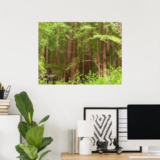 Redwood Trees at Muir Woods National Monument Poster (Heimbüro)