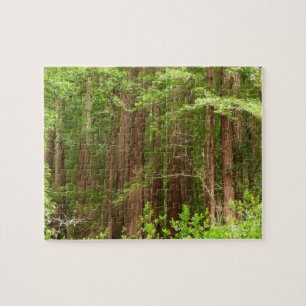 Redwood Trees at Muir Woods National Monument Puzzle