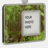 Redwood Trees at Muir Woods National Monument Rahmen-Ornament Silber (Rechts)