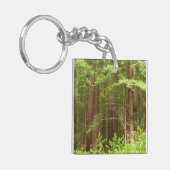 Redwood Trees at Muir Woods National Monument Schlüsselanhänger (Vorderseite links)