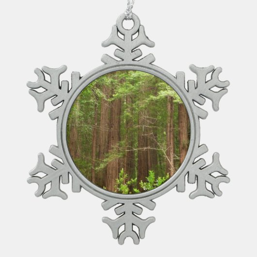 Redwood Trees at Muir Woods National Monument Schneeflocken Zinn-Ornament (Vorderseite)