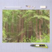 Redwood Trees at Muir Woods National Monument Seidenpapier (Handwerk)