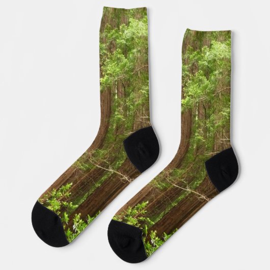 Redwood Trees at Muir Woods National Monument Socken (Linkes Detail)