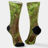 Redwood Trees at Muir Woods National Monument Socken (Gewinkelt)