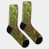Redwood Trees at Muir Woods National Monument Socken (Rechts)