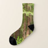 Redwood Trees at Muir Woods National Monument Socken (Links - Außen)