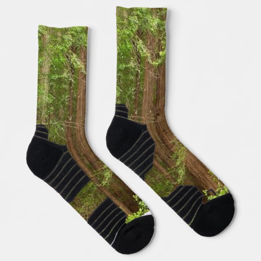 Redwood Trees at Muir Woods National Monument Socken (Rechts)