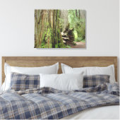 Redwood Trees Forest Leinwand Fotodrucke (Insitu (Schlafzimmer))