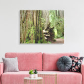 Redwood Trees Forest Leinwand Fotodrucke (Insitu (Wohnzimmer))