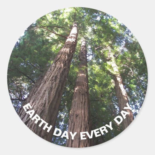 Redwood Trees Foto Earth Day Runder Aufkleber (Vorderseite)