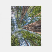 Redwood Trees | Marin Landkreis, Kalifornien Fleecedecke (Vorderseite)