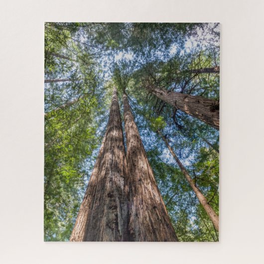 Redwood Trees | Marin Landkreis, Kalifornien Puzzle (Vertikal)
