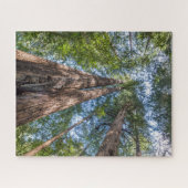 Redwood Trees | Marin Landkreis, Kalifornien Puzzle (Horizontal)