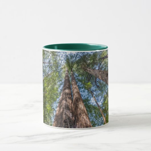 Redwood Trees | Marin Landkreis, Kalifornien Tasse (Zentrum)