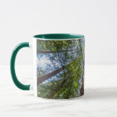 Redwood Trees | Marin Landkreis, Kalifornien Tasse (Links)