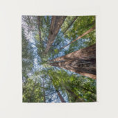 Redwood Trees | Marin Landkreis, Kalifornien Wandteppich (Vorderseite)