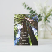 Redwood Trees Muir Quote Postkarte (Stehend Vorderseite)