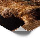 Redwood Trees, Sequoia National Park. Poster (Ecke)