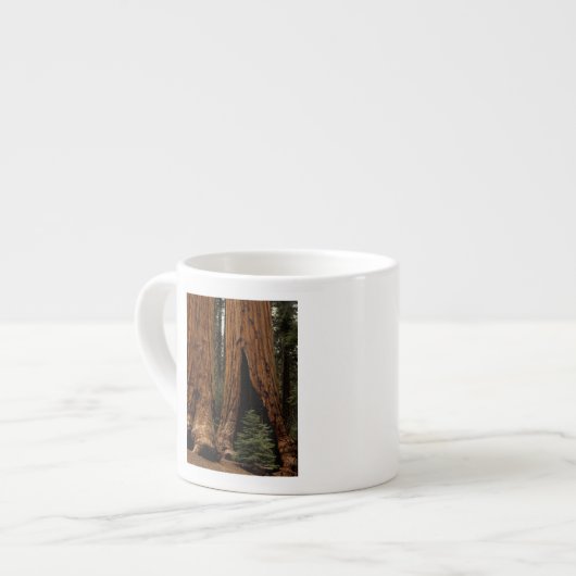 Redwood Trees, Sequoia Nationalpark. Espressotasse (Vorderseite Links)