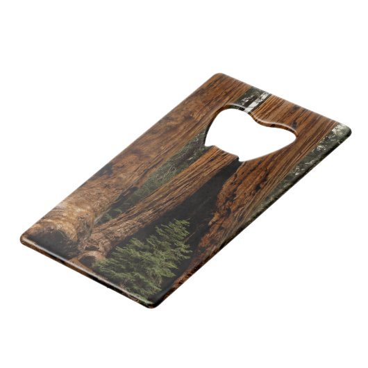Redwood Trees, Sequoia Nationalpark. Geldkarten Flaschenöffner (Vorderseite Schrägansicht)