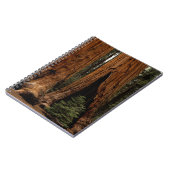 Redwood Trees, Sequoia Nationalpark. Notizblock (Linke Seite)