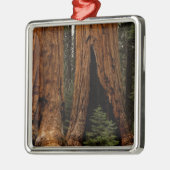 Redwood Trees, Sequoia Nationalpark. Ornament Aus Metall (Links)