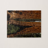 Redwood Trees, Sequoia Nationalpark. Puzzle (Horizontal)