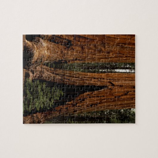 Redwood Trees, Sequoia Nationalpark. Puzzle (Horizontal)