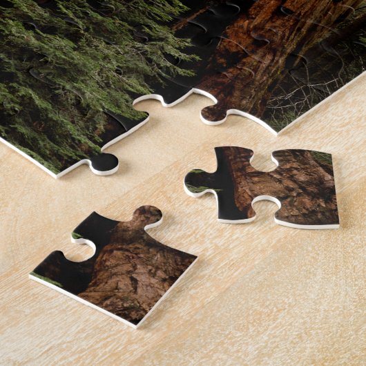 Redwood Trees, Sequoia Nationalpark. Puzzle (Seite)