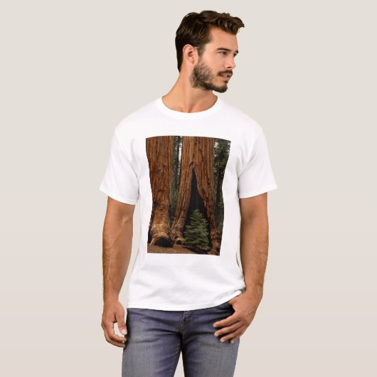 Redwood Trees, Sequoia Nationalpark. T-Shirt (Vorne ganz)
