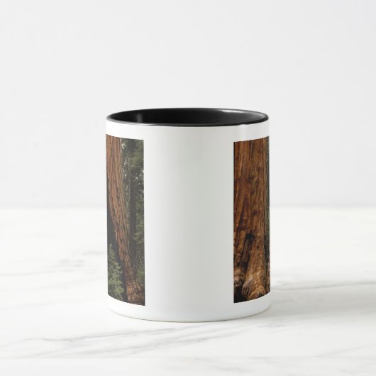 Redwood Trees, Sequoia Nationalpark. Tasse (Zentrum)