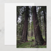 Redwood-Wald Feiertagskarte (Vorne/Hinten)