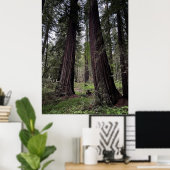 Redwood-Wald Poster (Heimbüro)