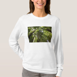 Redwood-Wald, Rotorua, Neuseeland 2 T-Shirt