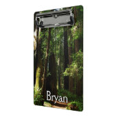 Redwoods and Ferns at Redwood National Park Mini Klemmbrett (Gewinkelt2)