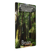 Redwoods and Ferns at Redwood National Park Mini Klemmbrett (Schrägansicht)