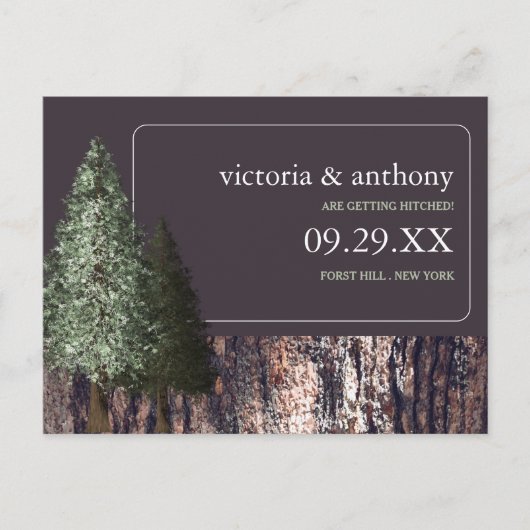 Redwoods & Bark, Rustikale Hochzeit retten das Dat Ankündigungspostkarte (Vorderseite)