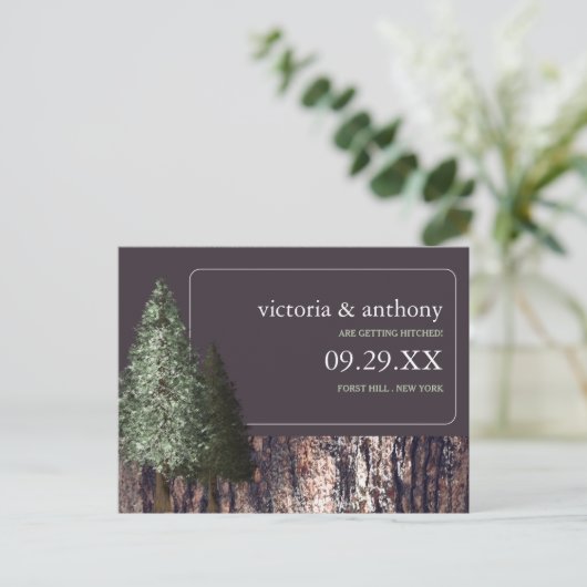 Redwoods & Bark, Rustikale Hochzeit retten das Dat Ankündigungspostkarte (Stehend Vorderseite)