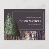Redwoods & Bark, Rustikale Hochzeit Vielen Dank Postkarte (Vorderseite)