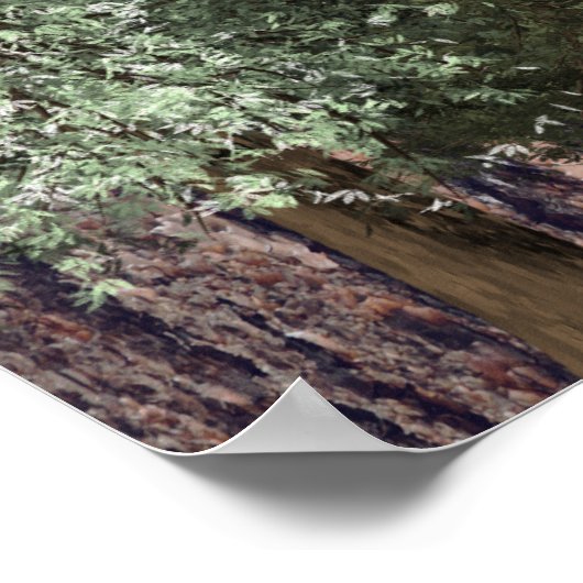 Redwoods & Bark, Rustikale Hochzeit Willkommen Poster (Ecke)