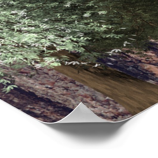 Redwoods & Bark, rustikaler Hochzeitsplan Poster (Ecke)