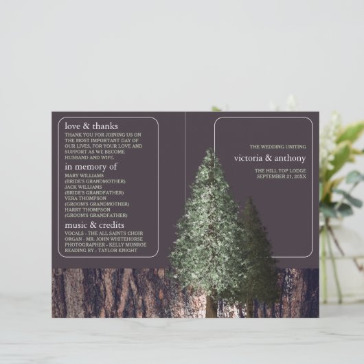 Redwoods & Bark, Rustikales Hochzeitsprogramm (Stehend Vorderseite)