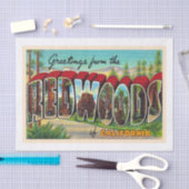 Redwoods California Vintag Large Letter Postcard Seidenpapier (Handwerk)