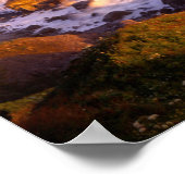 Redwoods coastline, California Poster (Ecke)